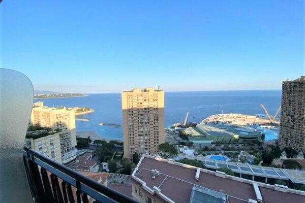Spacious 1/2 bedroom apartment - Le Continental - Sea view