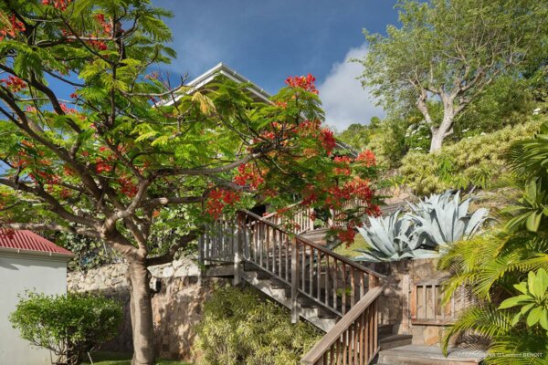 Splendida villa - Saint-Barthélemy - Vista mare