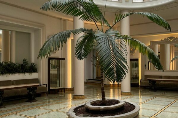 Très beau 3 pièces Bourgeois à rénover - Victoria