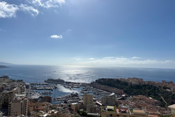 Duplex sul tetto - Villa Les Pins - Vista sul Principato e sul mare