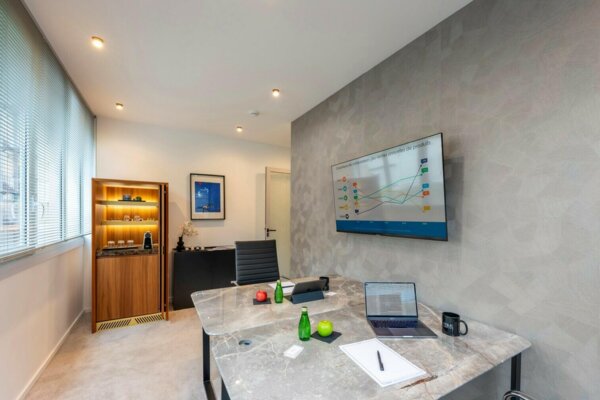 Several offices for rent - Thales, Fontvieille - Luxurious facilities