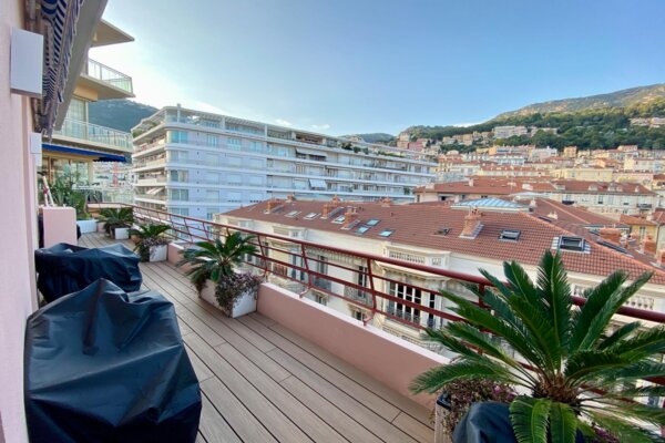 Magnifique appartement rénové et meublé - Le Richmond - Vue ville et montagne